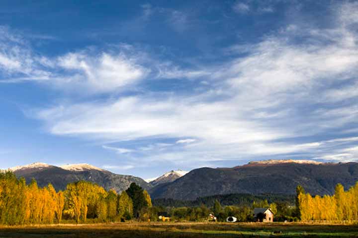 Lago Puelo,  bosque cordillerano